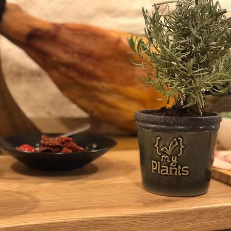 Hotel Simple Plus VNO Dış mekan fotoğraf